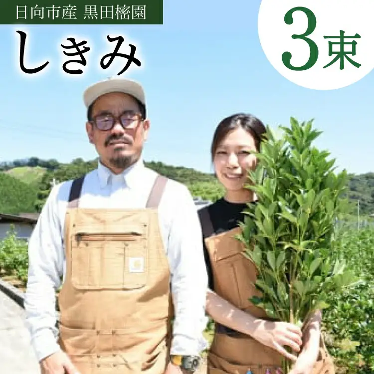 日向市産 しきみ [黒田樒園 宮崎県 日向市 452060139]