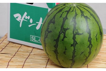 【2026年発送】スイカ(マドンナ)秀4L～3L　1玉【AC-005】
