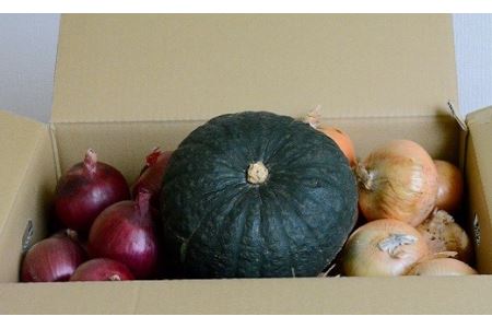 【セット】秋野菜セット（玉ねぎ8kg、紫玉ねぎ2kg、かぼちゃ1玉）【AD-004】