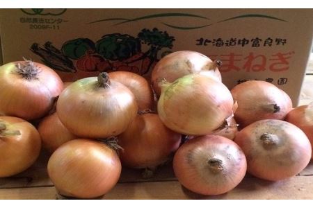 有機玉ねぎ10kg【AN-002】