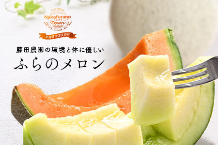 【2026年発送】ふらのメロンよくばりセット（赤肉・青肉）　2玉【AO-008】