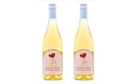 オレンジワイン750ml　2本セット【AZ-045】