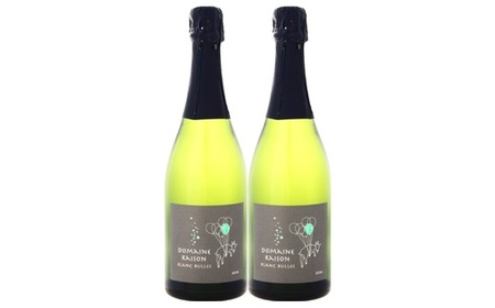 ブランビュル　750ml×2本【AZ-015】