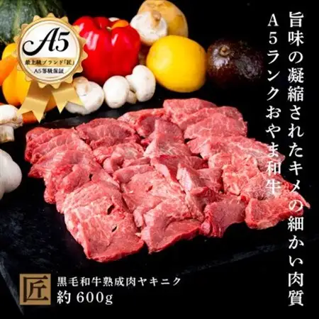 おやま和牛 A5 極 熟成肉ヤキニク 約600g【配送不可地域：離島】【1096945】