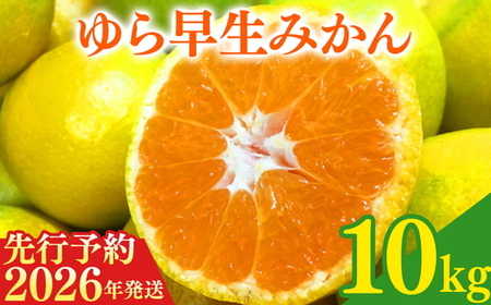 【2026年先行予約】紀州和歌山有田産ゆら早生みかん 10kg ｜早生みかん ミカン 蜜柑 フルーツ みかん ふるーつ みかん 果物 みかん くだもの みかん 和歌山 みかん