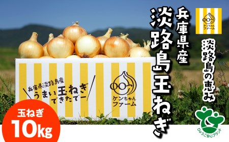 ＼うまい玉ねぎできたでー／ ケンちゃんファームの特別栽培玉ねぎ10㎏ ～ひょうご安心ブランド認証取得～　◆配送7月～翌年1月