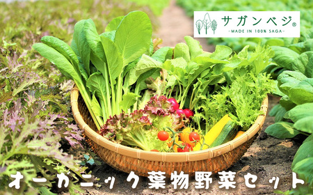 CQ035_オーガニック葉物野菜セット【植物性で育てた完全無農薬の葉野菜ブランド有機JAS】