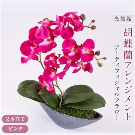 アーティフィシャルフラワー胡蝶蘭アレンジメント光触媒 (ピンク)_花・観葉植物 造花・プリザーブドフラワー 花 _【1033170】