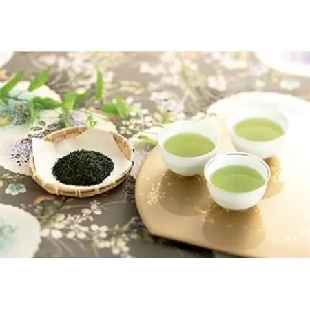 八女茶詰め合わせ(煎茶100g×2袋・玉露100g×1袋・玉露入煎茶ティーパック×2袋)_飲料・ドリンク 茶葉・ティーバッグ 茶   飲料・ドリンク 八女茶 茶 日本茶_【1099807】
