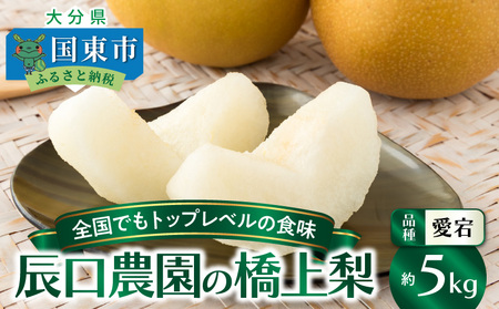 【先行予約】令和8年発送 /辰口農園の橋上梨約5kg(品種:愛宕)_1303R