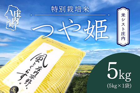 米シスト庄内 庄内平野、風と暮らす つや姫5kg 特別栽培米 令和7年産 2025年産 ブランド米 コシヒカリの原点、亀の尾発祥の地 庄内