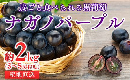 ぶどう 皮ごと食べられる 黒ぶどう ナガノパープル 約2kg フルーツ ※クレジット限定