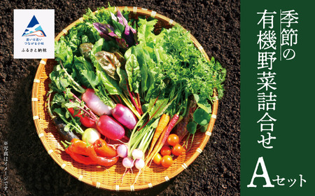 季節の有機野菜 詰合せ Aセット 有機野菜