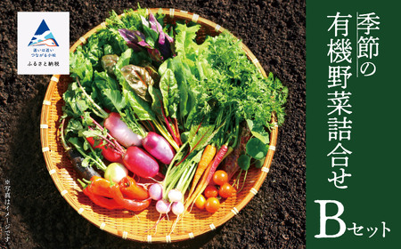 季節の有機野菜 詰合せ Ｂセット  有機野菜