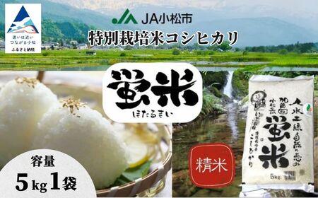 【先行予約】 令和8年産 特別栽培米 コシヒカリ 5kg 蛍米 精米 特別栽培米【JA小松市】