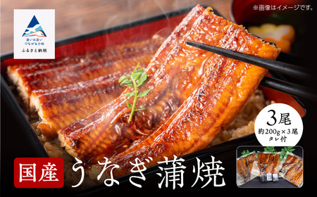 うなぎ 蒲焼3尾 うなぎ