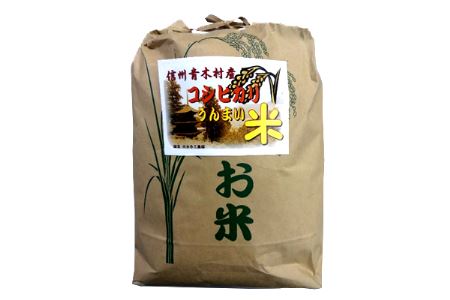 【令和７年産】青木村産コシヒカリ