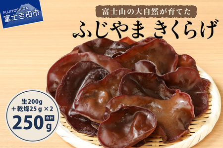 ふじやま きくらげ きのこ 国産 有機JAS オーガニック 