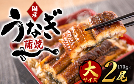 うなぎ 国産 うなぎ蒲焼き 約170g×2尾【uot302A-3】