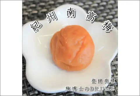 【0585-3】白山農園　梅博士のDR.UME(登録商標)