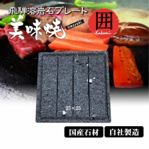 飛騨溶岩プレート 美味焼【囲】-kakomi-お肉やお野菜が美味しく焼ける！BBQ専用 焼肉 飛騨産 プレート [Q1846]