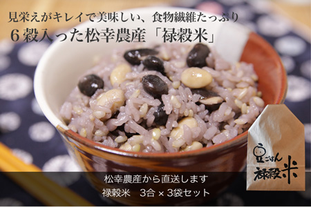 食物繊維 たっぷり ６穀入った 禄穀米 ふるさと納税 ふるさと 米 コメ こめ おこめ ギフト プレゼント お祝い返礼品 三重米 お米 精米 こしひかり コシヒカリ うるち米 もち米 ブランド米 国産 雑穀米 ブレンド 豆ごはん 3合 玄米 大麦 もち米 もっちり Q3