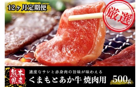 【12ヶ月定期便】GＩ認証 くまもとあか牛 焼肉 500g 定期便 12ヶ月 熊本県産 あか牛 焼肉用 500g 12回 1年 くまもとあか牛 GI認証取得 和牛 国産牛 肉 牛 焼肉 赤身 バーベキュー ギフト 贈答用 阿蘇牧場 熊本 阿蘇 南小国町 送料無料