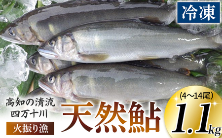 四万十川上流の天然鮎　冷凍　火振り漁鮎（4～14尾）【着日指定不可】／Esj-12k