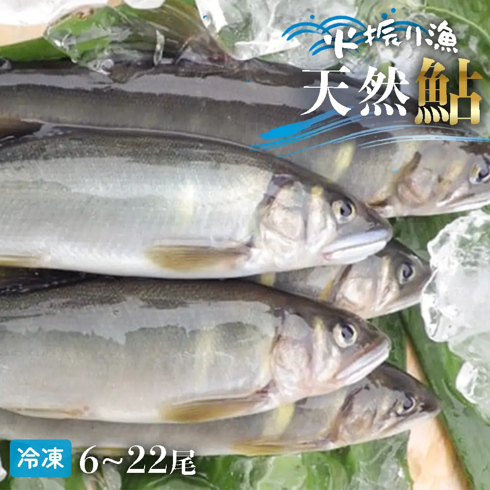 四万十川上流の天然鮎 冷凍 火振り漁鮎 2kg（6～22尾）【着日指定不可】 あゆ アユ 魚 魚介 川魚 塩焼き 冷凍 個包装 小分け たっぷり ／Esj-14k