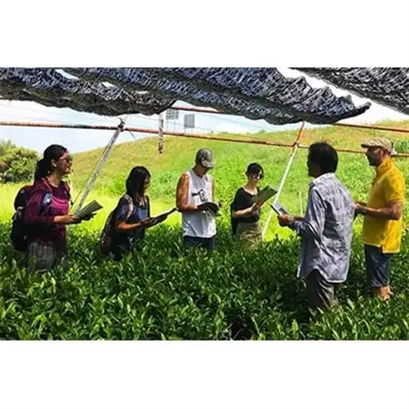 Magouemon Tour(抹茶の茶園・工場見学とほんず抹茶体験ツアー)1名様分_旅行券・チケット  体験チケット _【1071303】