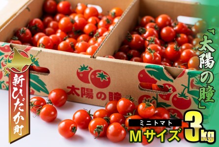 ＜ 9/15までの受付 ＞ 北海道産 ミニトマト 太陽の瞳 M サイズ 3kg 新ひだか町