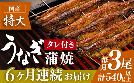 【6回定期便】国産うなぎ蒲焼 3枚セット [FAD007]