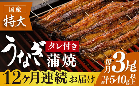 【12回定期便】板前こだわりの国産うなぎ蒲焼 3枚セット 鰻 ウナギ[FAD008]