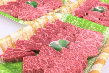 ttn189土佐あかうし肩ロース焼肉用(約800g)