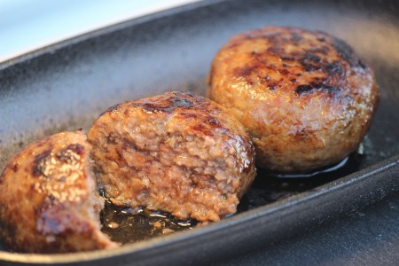 ttn177土佐あかうしハンバーグ10個