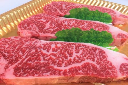 ttn173土佐あかうしサーロインステーキ(約190g×3枚)