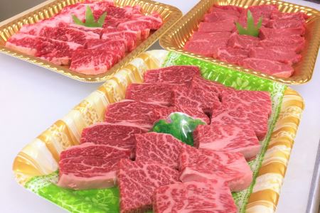ttn131土佐あかうし焼肉セットⅣ