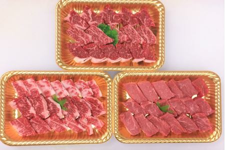 ttn130土佐あかうし焼肉セットⅢ