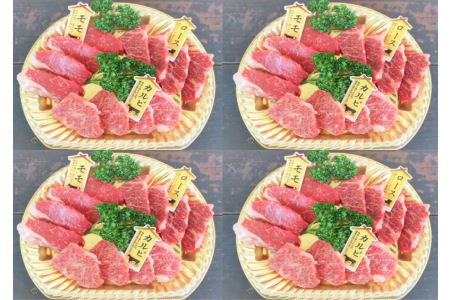 ttn198土佐あかうし焼肉3種盛　1人前(200g)×4P