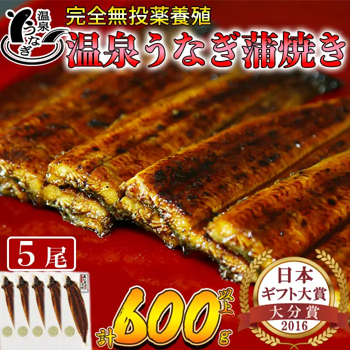 温泉うなぎ 蒲焼 5尾（120gサイズ）【大分水産】 国産 完全無投薬 うなぎ 九州 大分県 うな丼 うな重 冷凍 鰻 ギフト 受賞 土用の丑の日 スタミナ 夏バテ ＜104-005＞