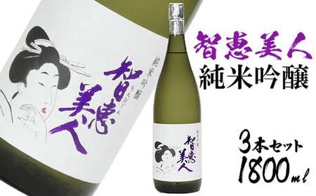 中野酒造 清酒 智恵美人 純米吟醸酒 1800ml 3本 セット【神田楽市】九州 大分県 受賞 日本酒 純米吟醸 一升 ＜105-031＞