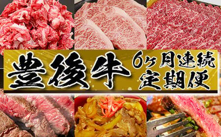 おおいた豊後牛 ６か月連続 定期便 【神田楽市】 国産 九州 大分県 黒毛 和牛 ブランド 牛肉 日本一 受賞 切り落とし ロース 焼肉 サーロイン ステーキ ランプ ステーキ すき焼き 牛丼 肉じゃが カレー おすすめ ランキング ＜105-801＞