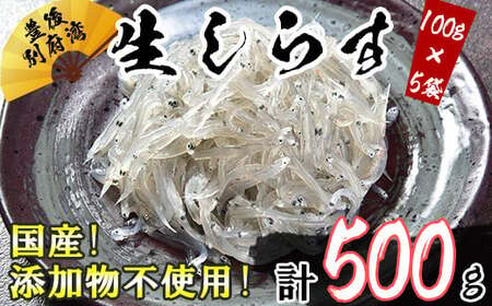 国産！添加物不使用！豊後別府湾生しらす 500g（100g×5パック）＜108-029＞