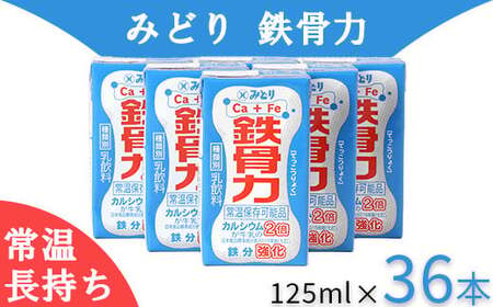  鉄骨力 乳飲料 乳製品 ロングライフ商品 長期保存 常温 ／ LL鉄骨力 125ml×36本（飲みきりサイズ）＜108-043＞