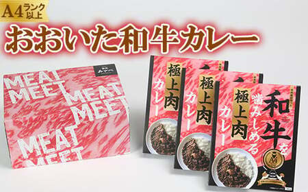 杵築産おおいた和牛カレー３食セット（レトルトカレー） ビーフカレー 黒毛和牛 国産 A4 ビーフ カレー 九州 夏カレー ＜120-001＞