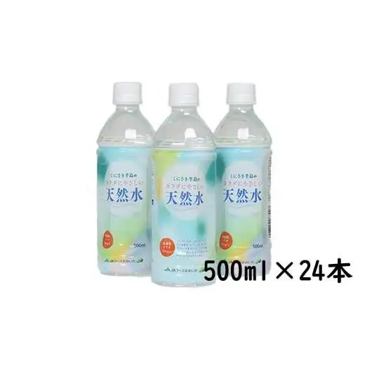  水 500ml 24本 ペットボトル ミネラルウォーター 天然水 ／ くにさき半島のカラダにやさしい天然水　500ml×24本＜131-007＞