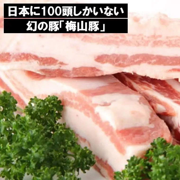 D1216 塚原牧場の幻の豚「梅山豚」バラブロック650g