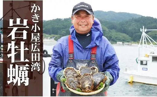 殻付き岩牡蠣 約2kg 夏が旬 三陸産 冷蔵 生牡蠣