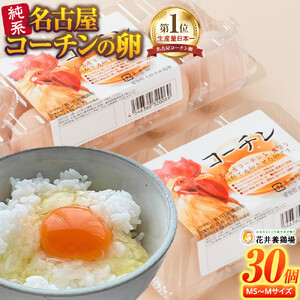 純系 名古屋コーチン卵 30個 卵