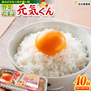 愛され続けて30年 「野菜たまご 元気くん」（40個） 日々のお料理がワンランクアップ!!